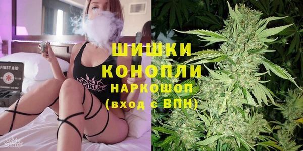 гидра Володарск