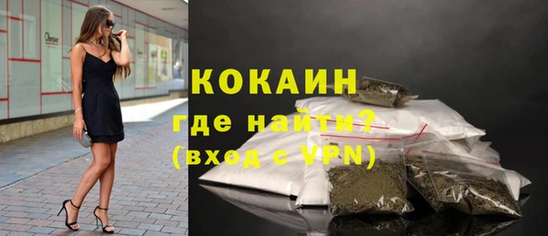 гидра Володарск