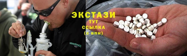 гидра Володарск