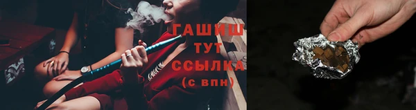 гидра Володарск