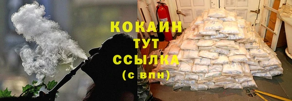 гидра Володарск